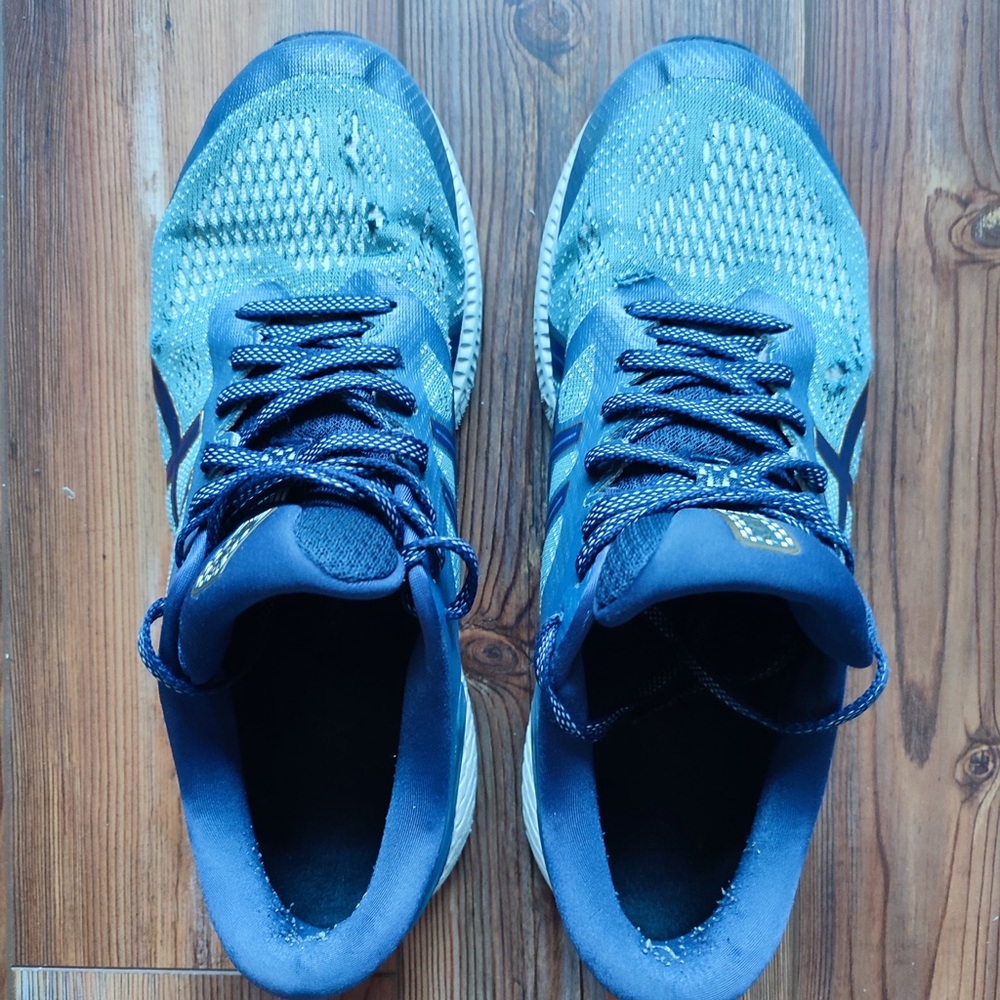ASICS Blue Athletic Sneakers size 11